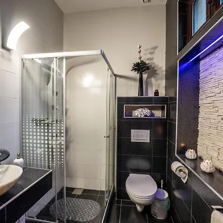 Apartment Mimoza Sighisoara